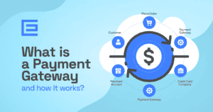 What is a Payment Gateway?
