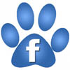 Social Media for Dogs