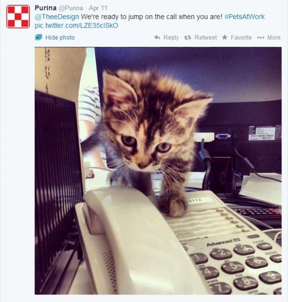 Pets at Work Day: TheeDigital & Purina