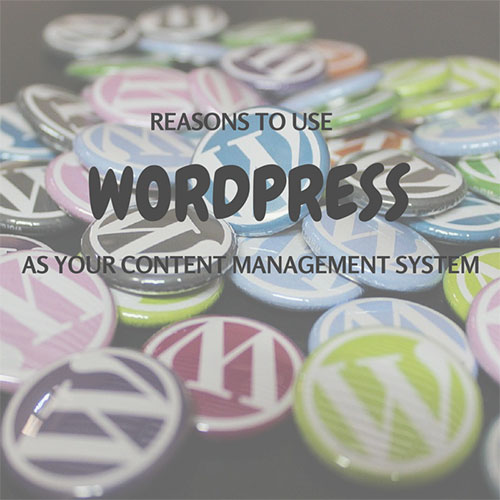 WordPress Developer Raleigh WordPress Developer Raleigh