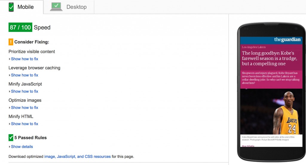 Google PageSpeed Amp Version