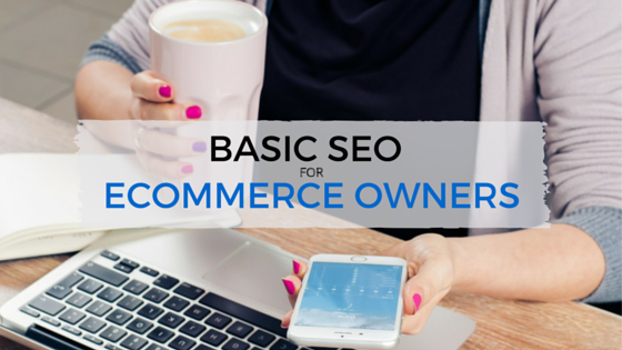 seo for ecommerce owners - theedesign