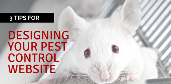 designing your pest control website
