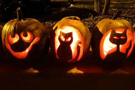 Halloween 2016 at TheeDigital - Raleigh Web Design and Digital Marketing - Carved Pumpkins