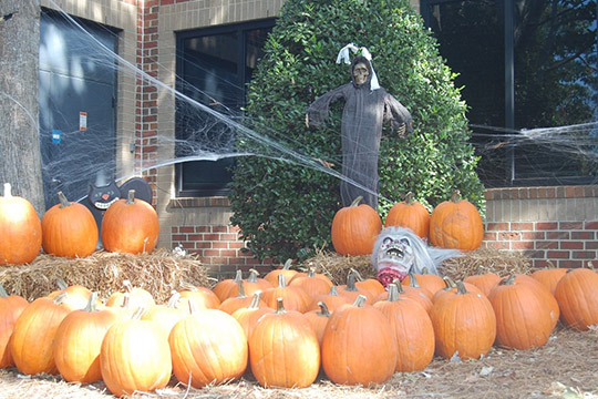 Halloween 2016 at TheeDigital - Raleigh Web Design and Digital Marketing - Pumpkins and Cobwebs