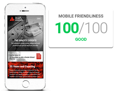 100/100 mobile friendly