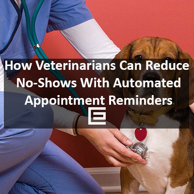 How Veterinarians Can reduce no-shows with automated email reminders – TheeDesign