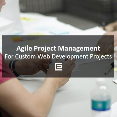 Agile Project Management for Custom Web Development Projects - TheeDesign Raleigh