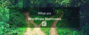 What Are WordPress Shortcodes
