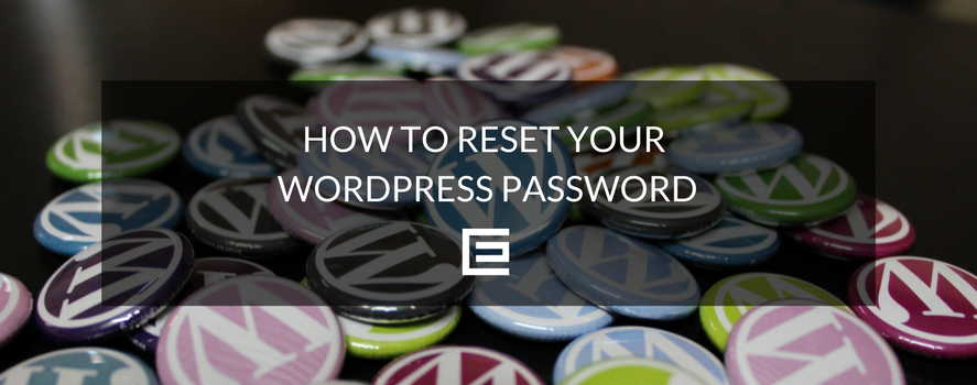 How to Reset Your WordPress Password | TheeDesign