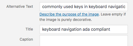 alt text ada compliance