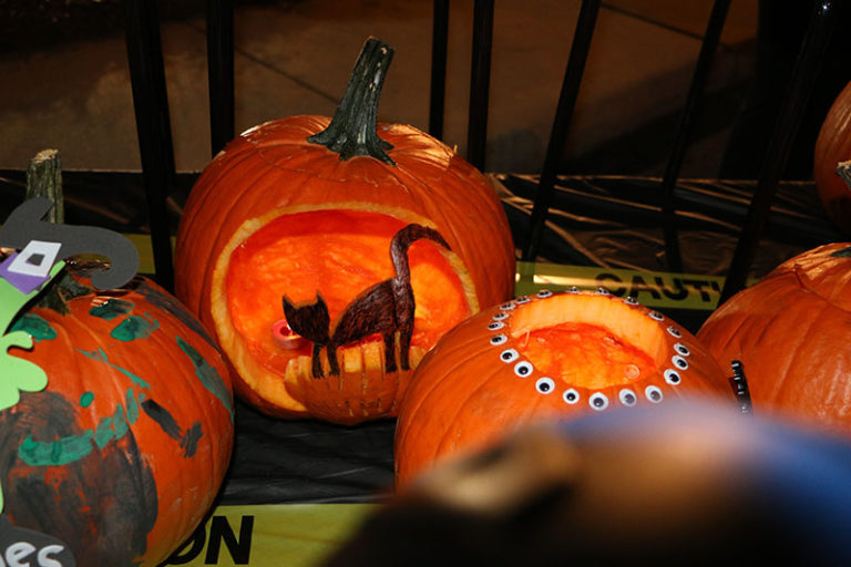 cat pumpkin carving