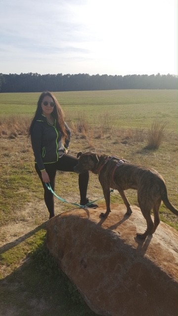 Digital Marketing Guru Raleigh