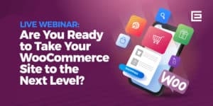 woocommerce webinar