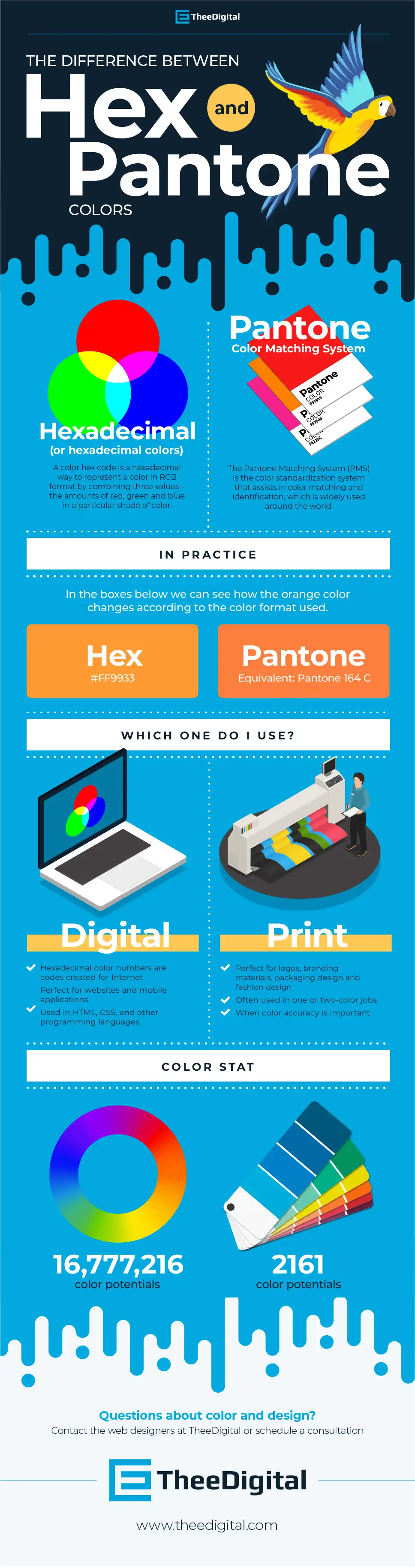 Infographic that shows the differences between hexadecimal and pantone colors