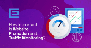 website promotion and traffic monitoring