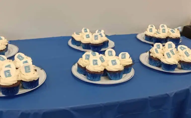 20th Anniversary cupcakes