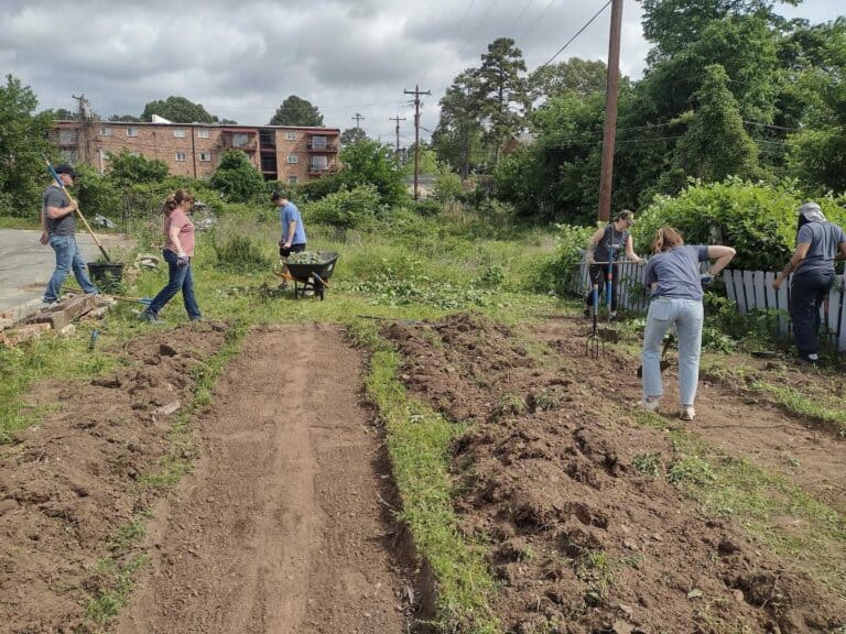 cleaning up weeds from garden