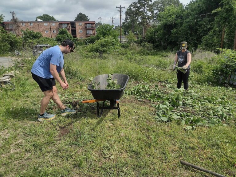 pilling up weeds in wheel barrel from garden