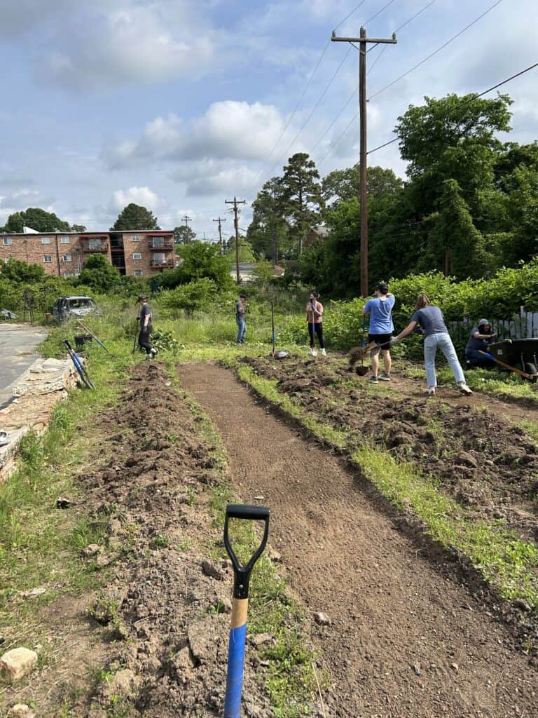 view of the new garden bed