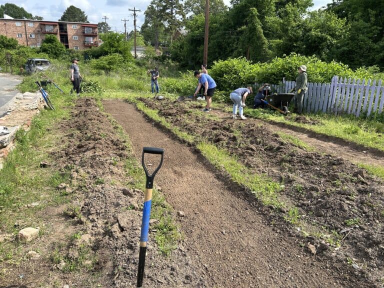 the team hard at work