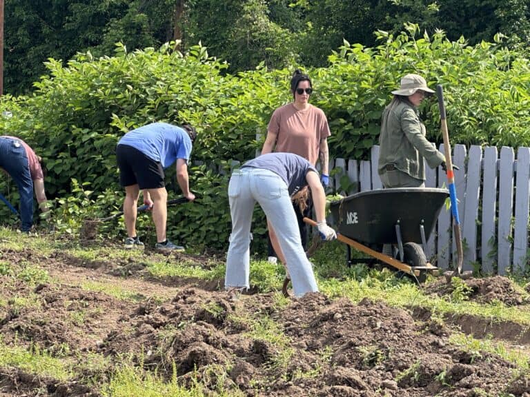 everyone hard at work
