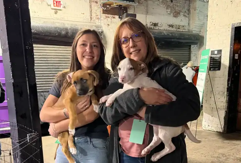 Keri and Alana with puppies at TechSEO Connect