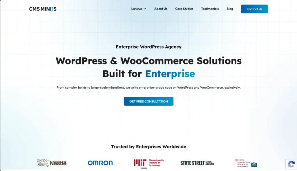 cms web design